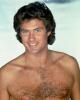 Cliquer pour afficher hasselhoff-david-photo-xxl-david-hasselhoff-6220220_t1.jpg