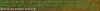 Cliquer pour afficher kokolol_t1.jpg